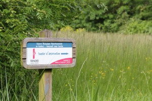 marais Reserve-Nalliers-1