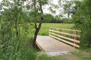 marais Reserve-Nalliers-2