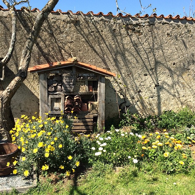 Gîte d'insectes et ses fleurs