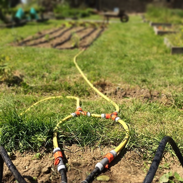 Gardena, mon ami à moi !