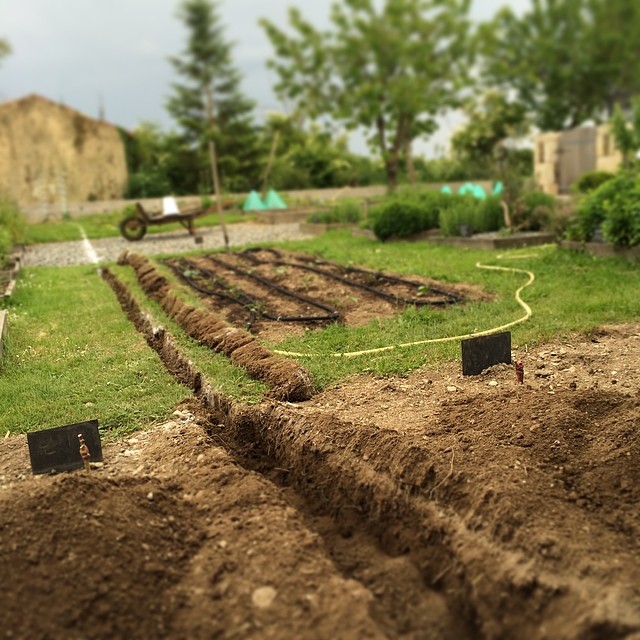 On ne s'arrête pas en si bon chemin, préparation d'un arrosage enterré dans le jardin. Merci GARDENA !