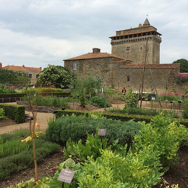 Visite des jardins du donjon