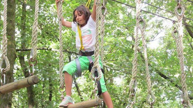 lacrobranche-de-mervent-pour-jouer-tarzan