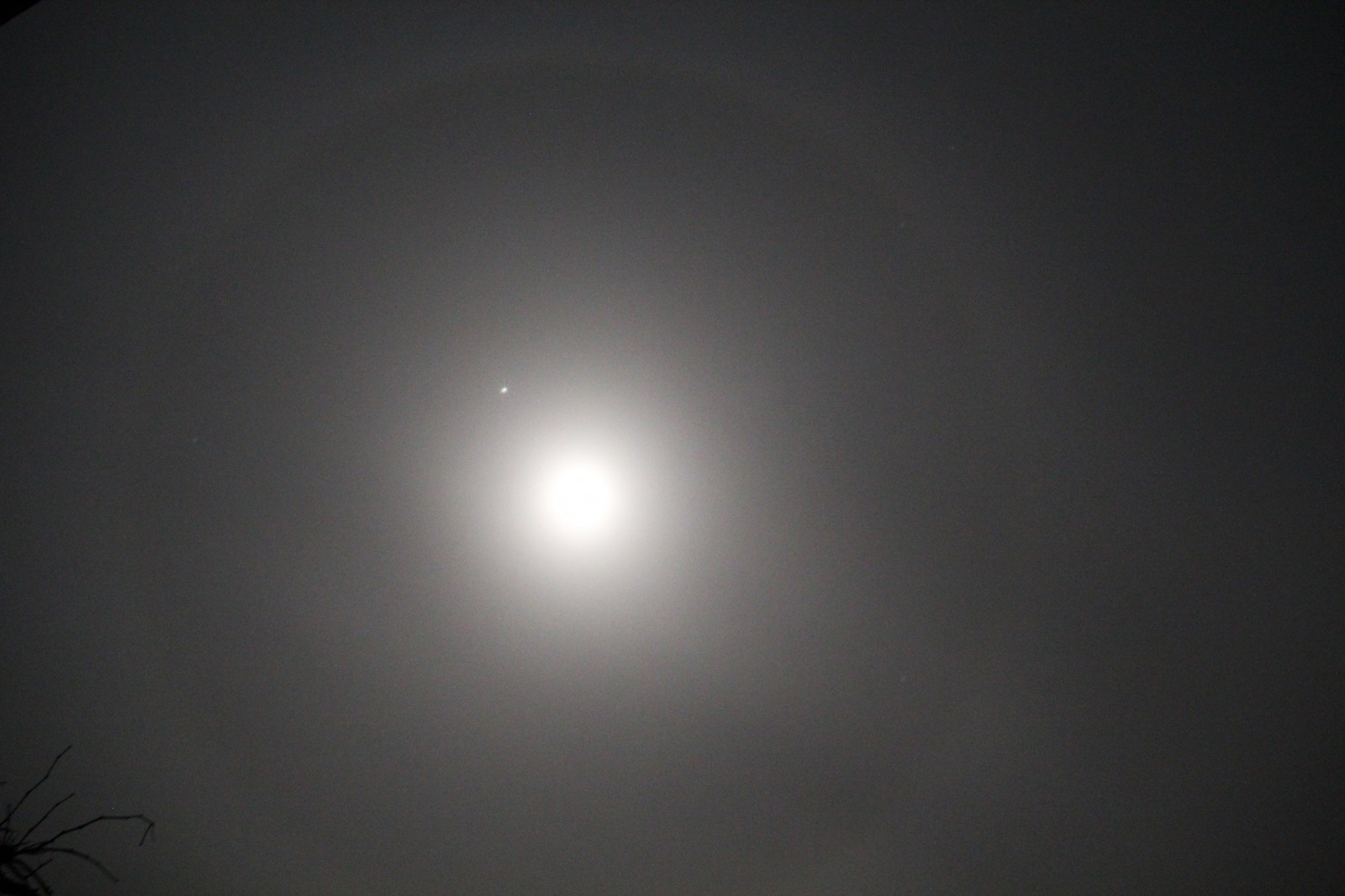 Lune Bréjolière