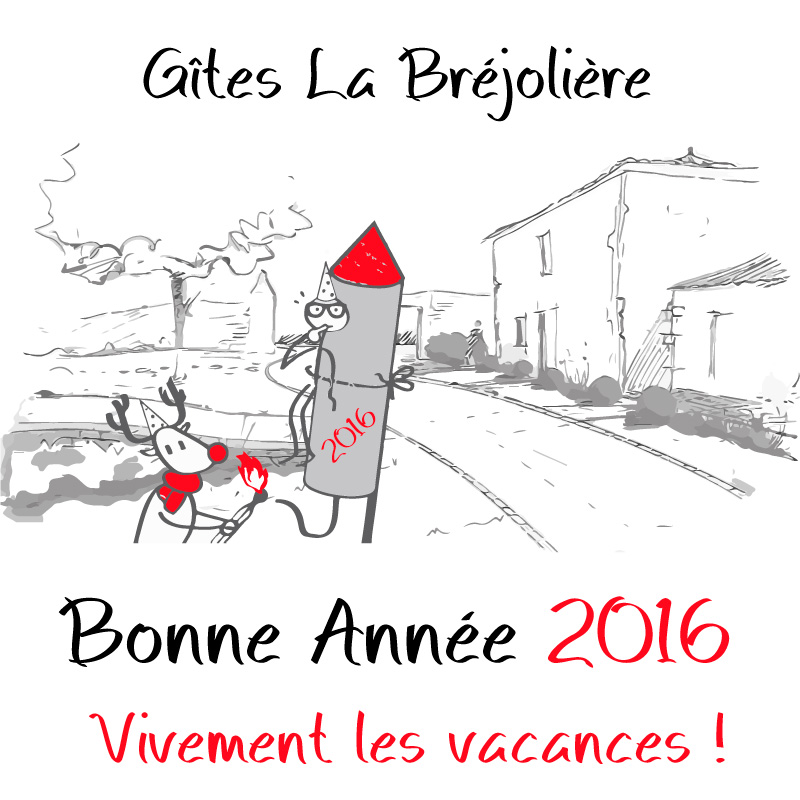Bonne_annee_2016