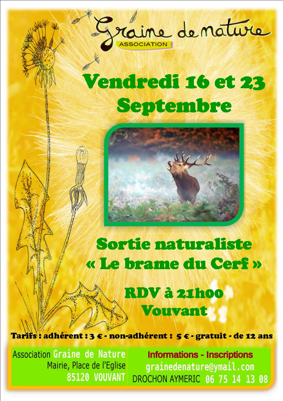 affiche-a4-brame-du-cerf