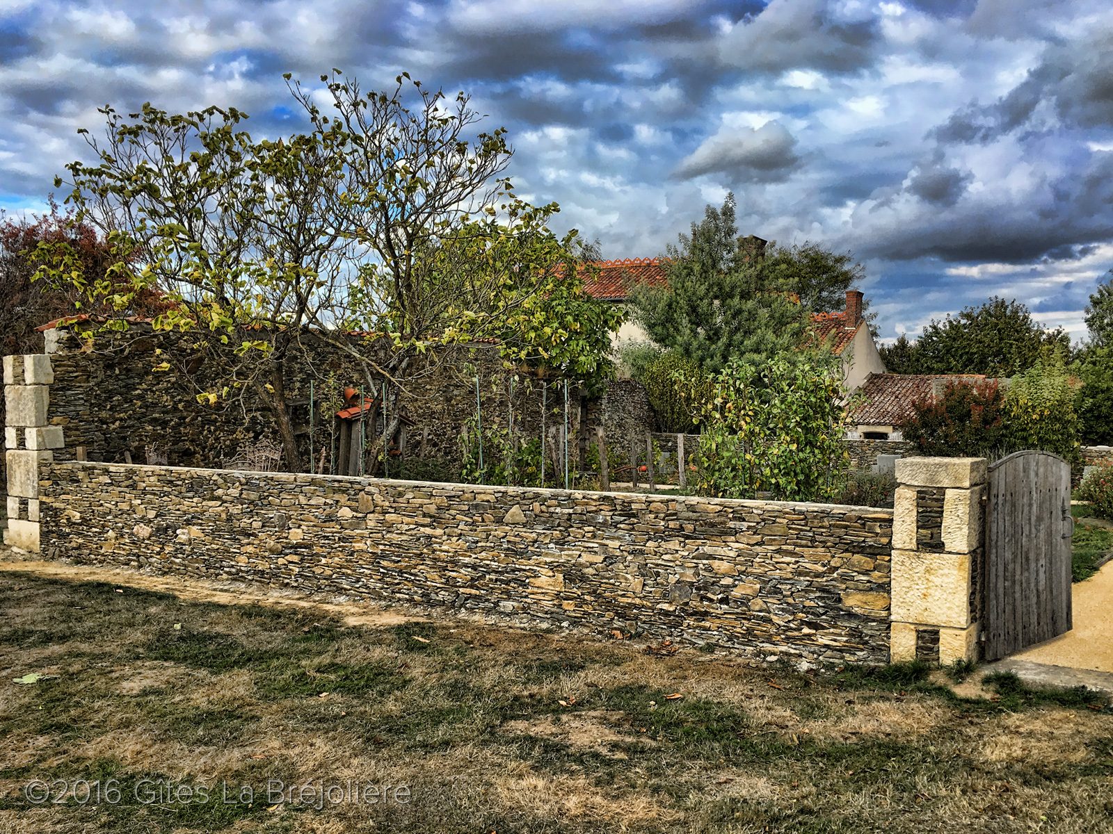 Mur jardin