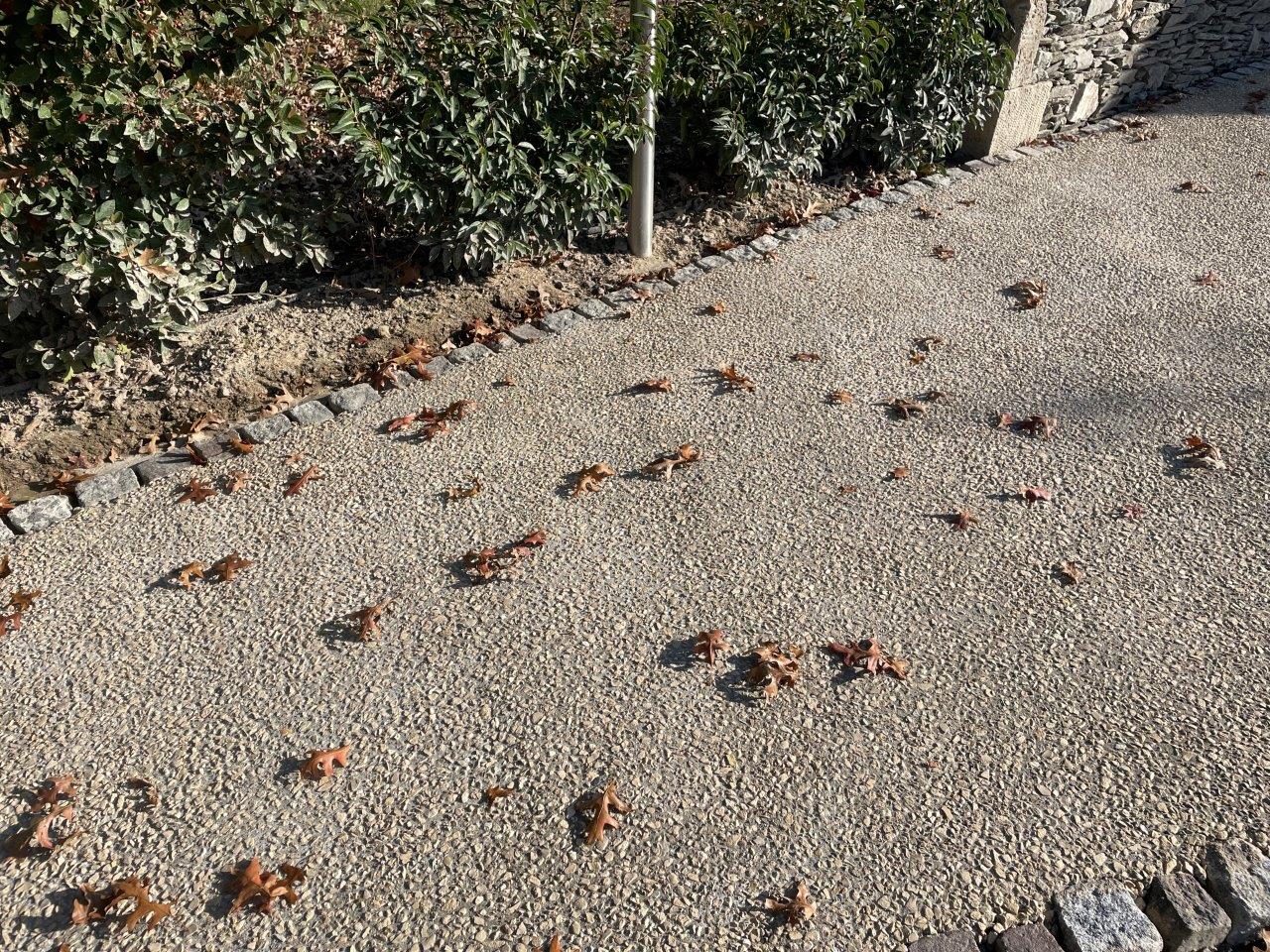 Zoom sur le béton désactivé