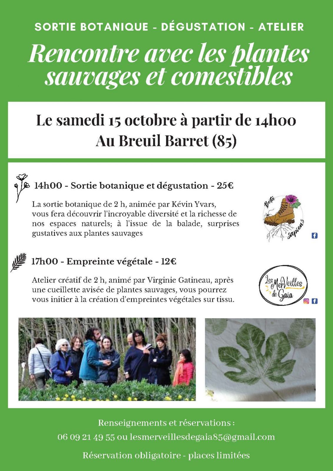 Sortie botanique et atelier créatif Virginie Gatineau