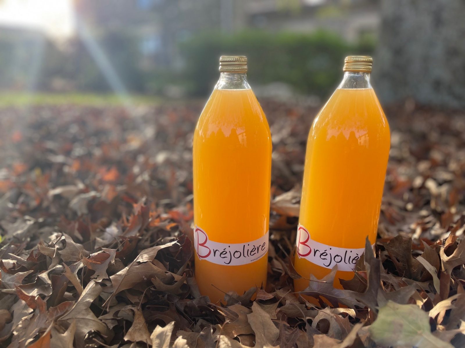 Bouteilles de jus de pomme 2022 La Bréjolière